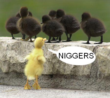 racist_chick.jpg