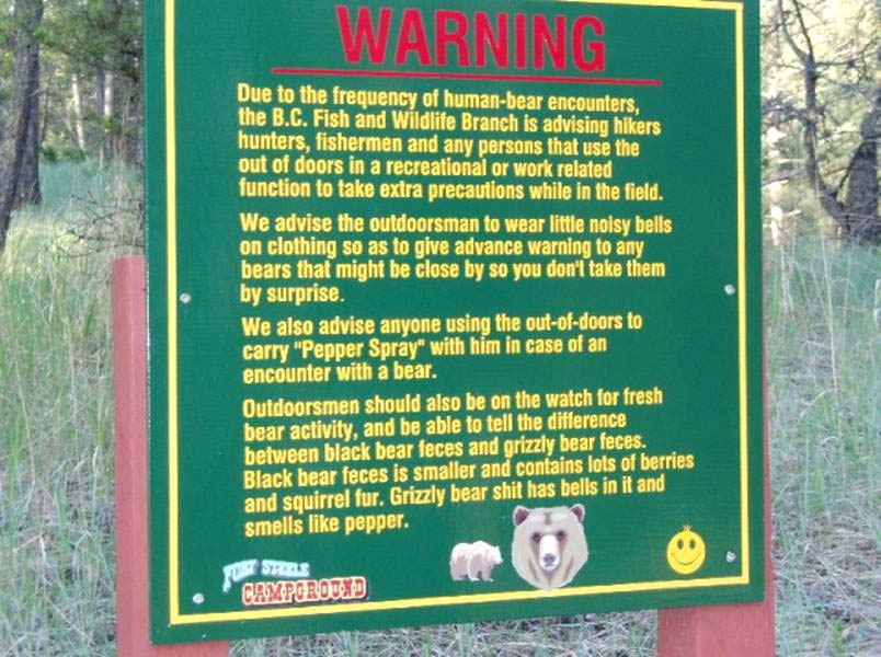 bear.JPG