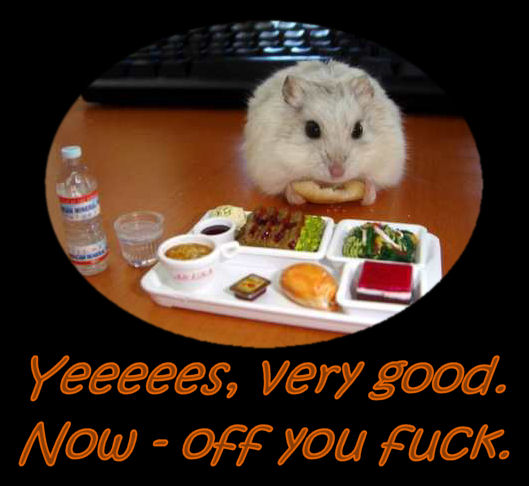 oyf.jpg